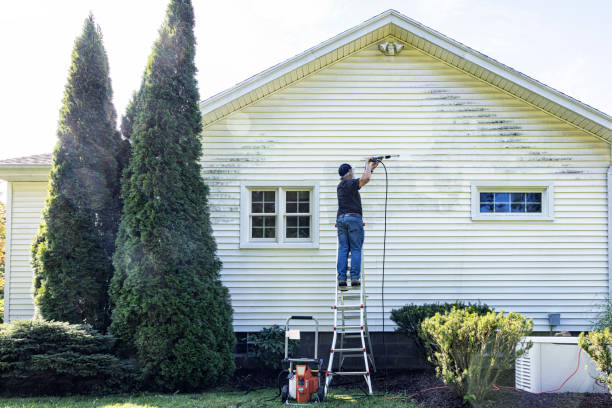 Best Pressure Washing Siding  in Ashland, AL