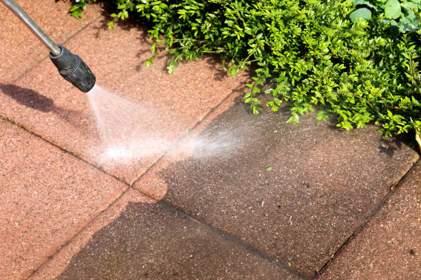 Best Pressure Washing Near Me  in Ashland, AL